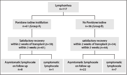 Role of early povidone iodine instillation in post-renal transplant lymphorrhea: A prospective randomized study